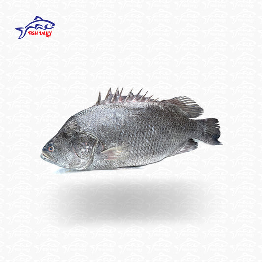 Koi Koral (কৈ কোরাল)