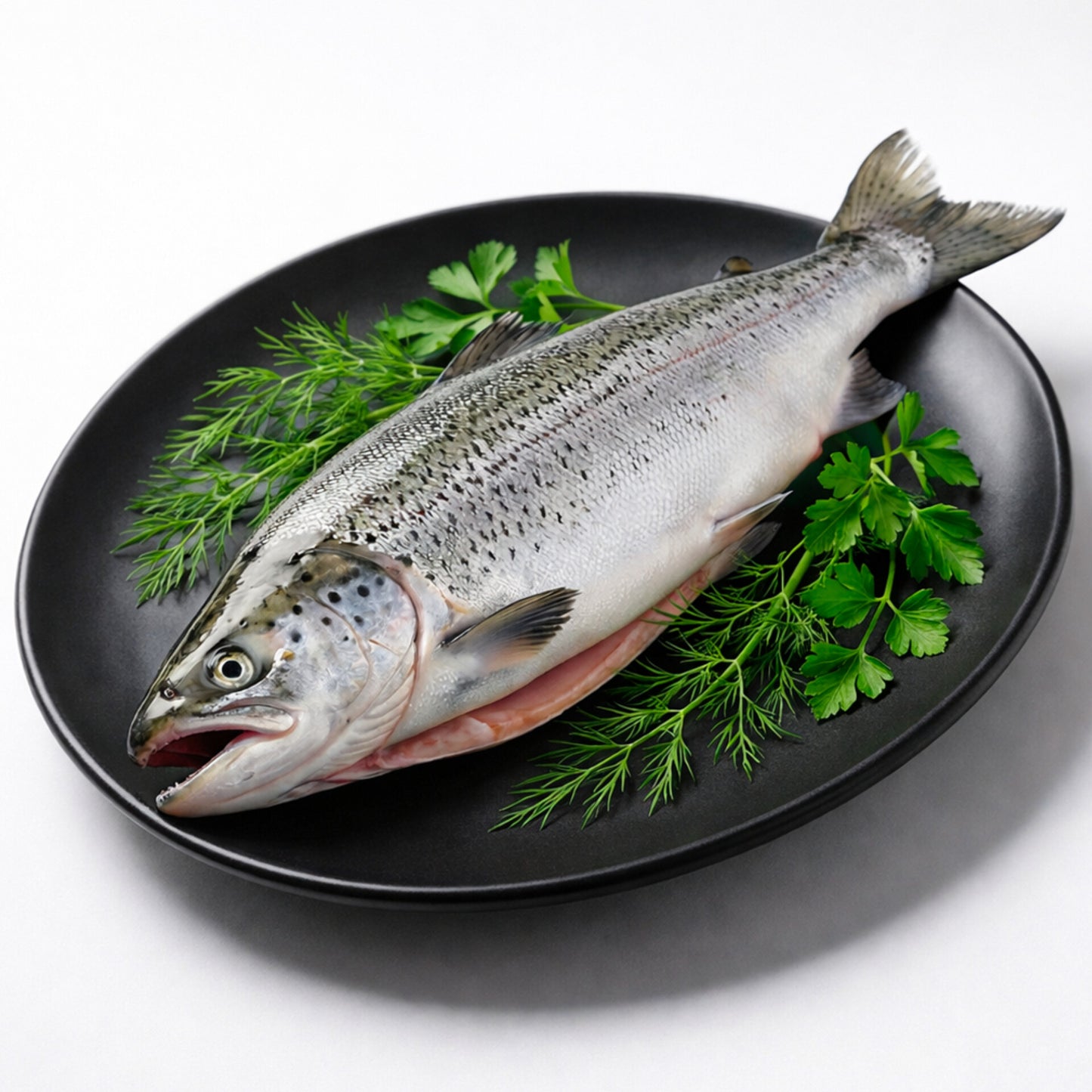 Salmon Fish (স্যামন মাছ)