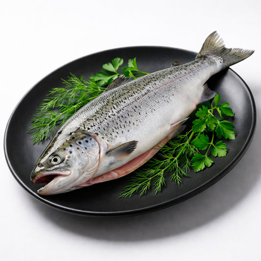 Salmon Fish (স্যামন মাছ)