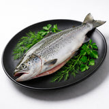 Salmon Fish (স্যামন মাছ)