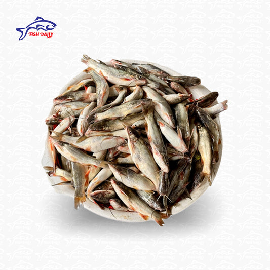 Tengra Fish (টেংরা মাছ) - 10 kg package