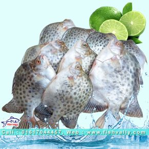 Payra Fish